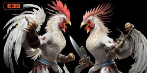 Đá Gà Trực Tiếp – Xem Đấu Kê Full HD Từ Chiến Kê Kịch Tính